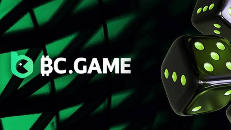 Comprehensive Guide to Payment Methods at BC Game 908250583